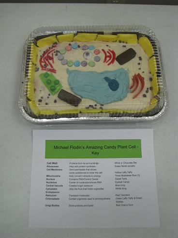 Animal Cell Projects For Kids. Candy and animal cell,